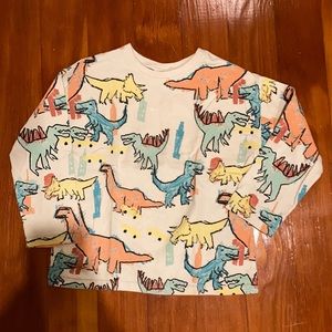 Zara Dinosaur Long Sleeve Shirt